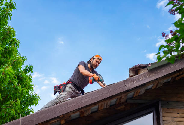 Best Skylight Installation and Repair  in Metter, GA