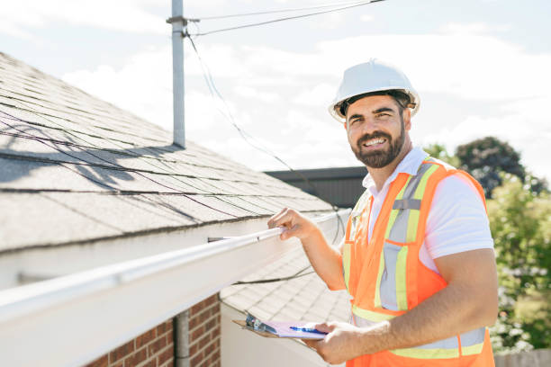 Best Roof Moss and Algae Removal  in Metter, GA
