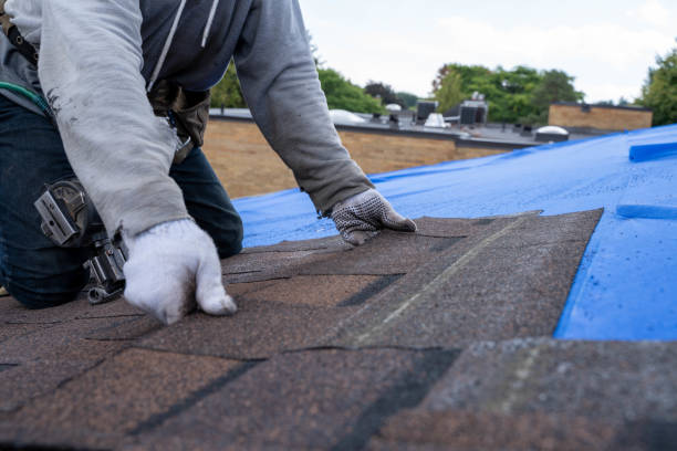 Best Roof Installation  in Metter, GA